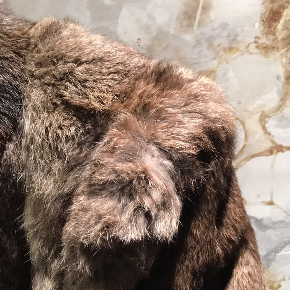 Fur Coat - image 3